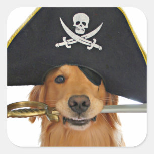 Sticker Carré Golden Retriever Halloween Pirate