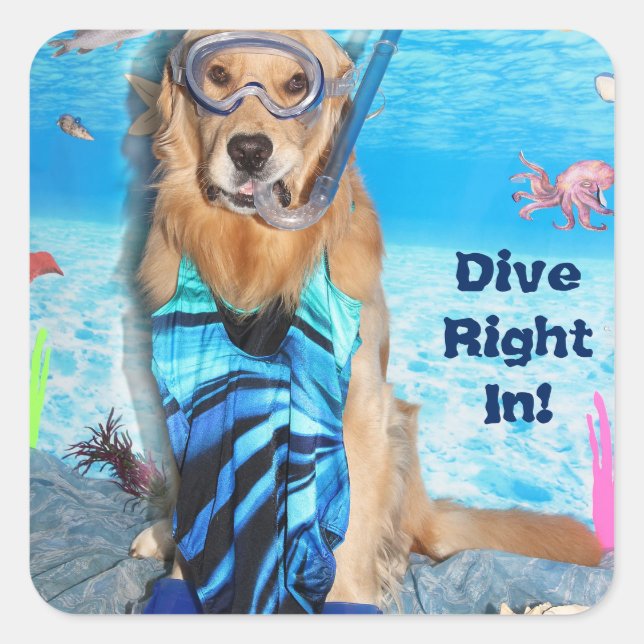 Sticker Carré Golden Retriever Snorkler (Devant)