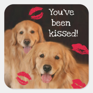 Sticker Carré Golden Retriever Vous avez été baisé
