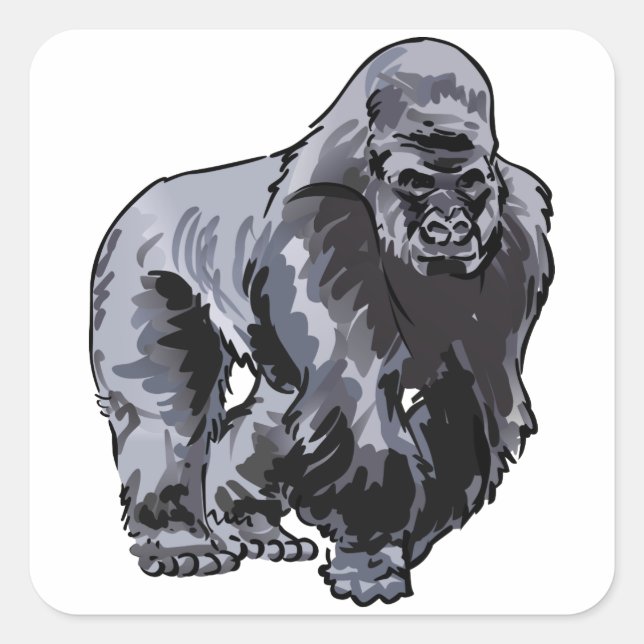Sticker Carré Gorilla Silverback (Devant)
