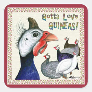 Sticker Carré Gotta Love Guineas !
