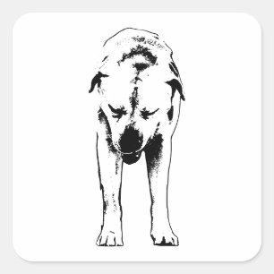 Sticker Carré Grands sentiments, faible tolérance