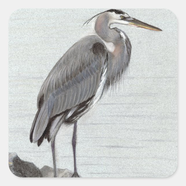 Sticker Carré Great Blue Heron (Devant)