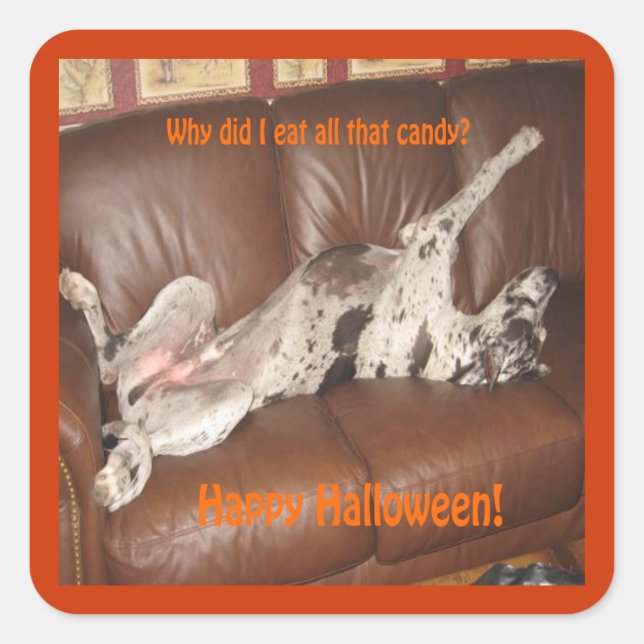 Sticker Carré Great Dane Ate Too Much Halloween (Devant)