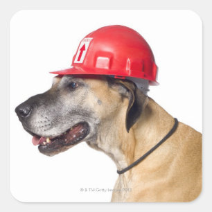 Sticker Carré Great Dane portant un casque de construction rouge