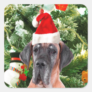 Sticker Carré Great Dane w Christmas Tree Cadeaux Boîtes de Noël