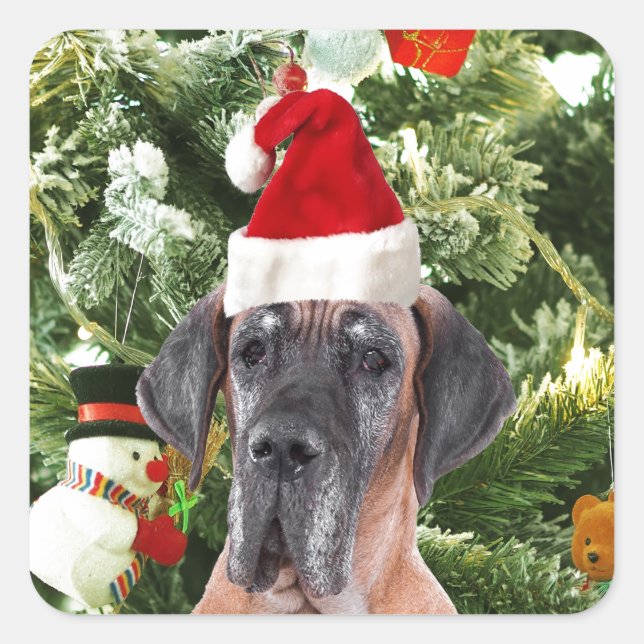 Sticker Carré Great Dane w Christmas Tree Cadeaux Boîtes de Noël (Devant)