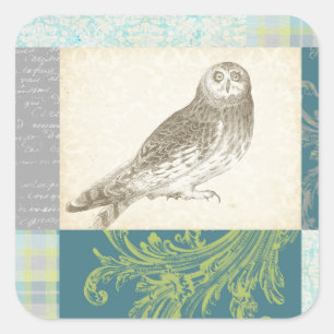 Sticker Carré Grey Owl sur Arrière - plan Motif