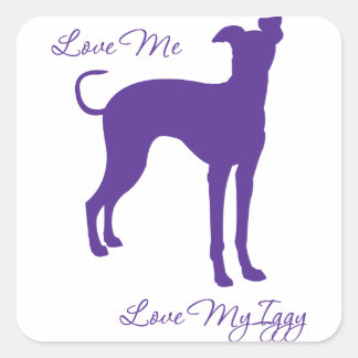 Sticker Carré Greyhound italien