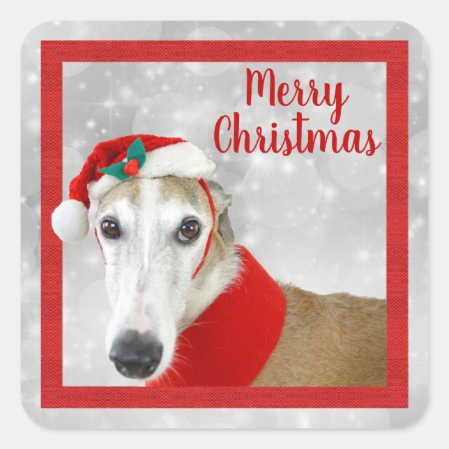 Sticker Carré Greyhound Joyeux Noël (Devant)