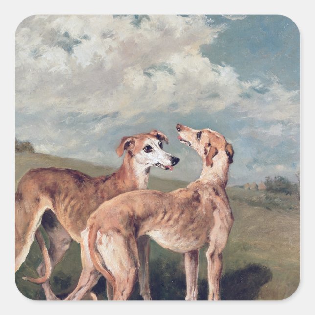 Sticker Carré Greyhounds (Devant)