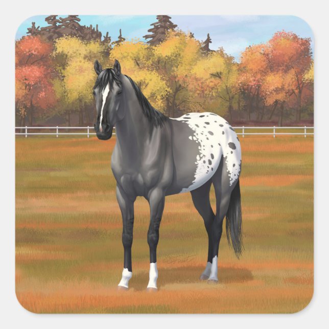 Sticker Carré Gris Grulla Appaloosa Quartier Horse Stallion (Devant)