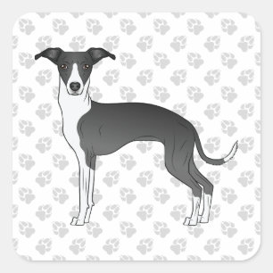 Sticker Carré Gris Italien Noir Et Blanc Avec Patrouilles