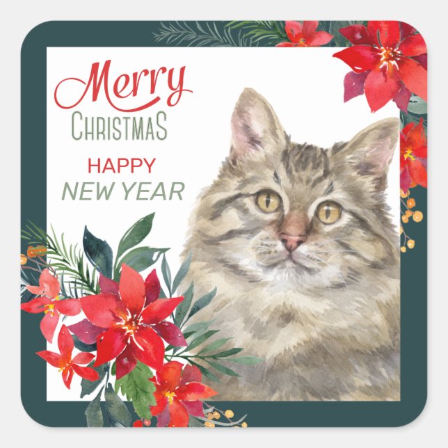 Sticker Carré Gris Tabby Chat Poinsettia Frontière Noël (Devant)