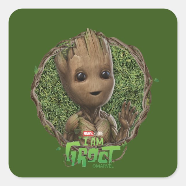 Sticker Carré Groot Framed Badge (Devant)