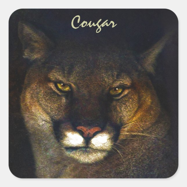 Sticker Carré Gros Chat Cougar Mountain Lion Art Design (Devant)