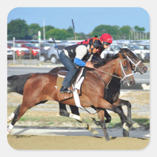 Sticker Carré Gros exercices Sandy