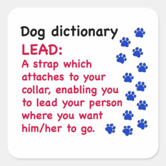 Sticker Carré Guide - dictionnaire chien