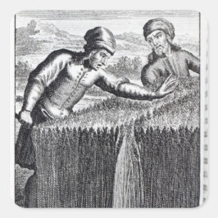 Sticker Carré Gulliver est découvert par un fermier à