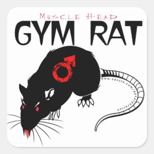 Sticker Carré Gym Rat