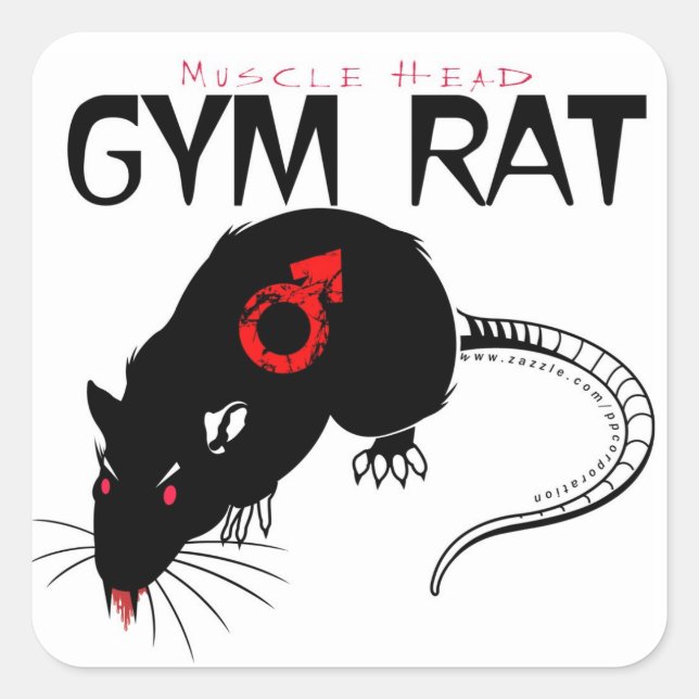 Sticker Carré Gym Rat (Devant)