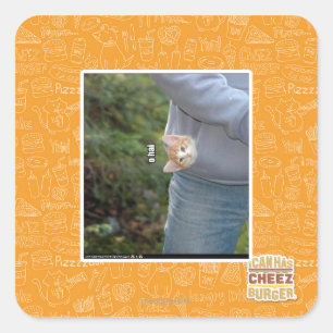 Sticker Carré Hai d'O