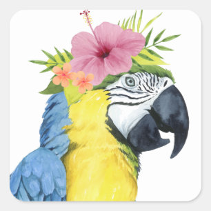 Sticker Carré Halo tropical - Perroquet