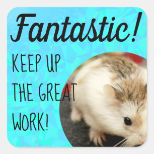 Sticker Carré HammyVille - Joli Hamster Fantastique Grand Travai