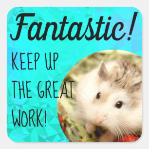 Sticker Carré HammyVille - Joli Hamster Fantastique Grand Travai