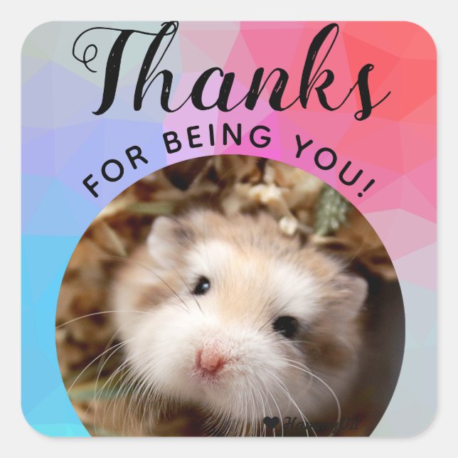 Sticker Carré HammyVille - Joli Hamster Merci d'être vous (Devant)