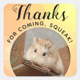 Sticker Carré HammyVille - Joli Hamster Merci pour la Squeak à v