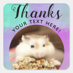 Sticker Carré HammyVille - Merci à Hamster mignon