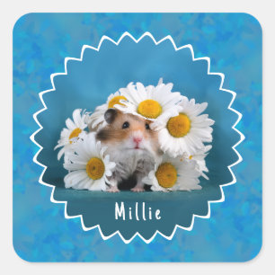 Sticker Carré Hamster adorable en Bouquet blanc de marguerite