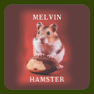 Sticker Carré Hamster avec noix du Brésil
