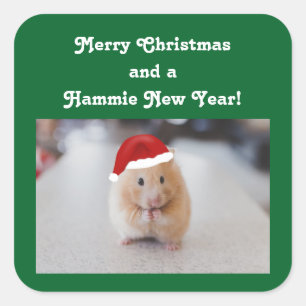 Sticker Carré Hamster de Noël