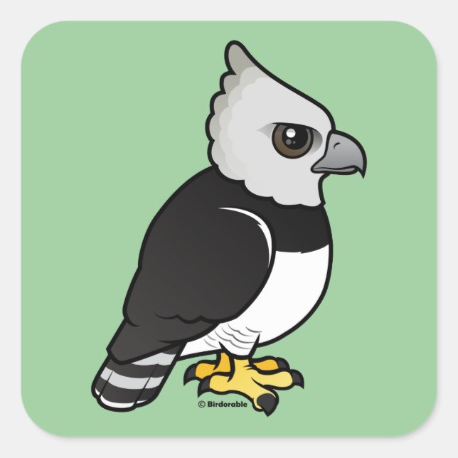 Sticker Carré Harpy Eagle (Devant)