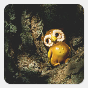 Sticker Carré Harvey le hibou I
