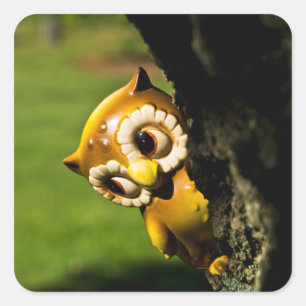 Sticker Carré Harvey le hibou II