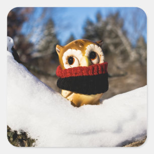 Sticker Carré Harvey the Owl IV