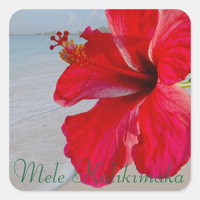 Sticker Carré Hawaï Mele Kalikimaka Joyeux Noël (Devant)