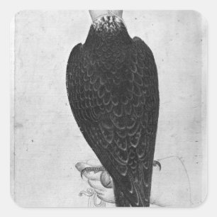Sticker Carré Hawk à portée de main