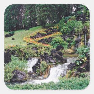 Sticker Carré Healing Water