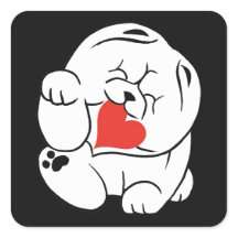 HELLO KOKORO Chow chien