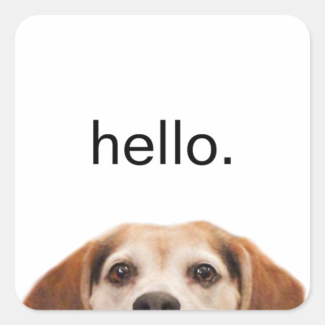 Sticker Carré Hello mignon Beagle chien moderne tendance (Devant)
