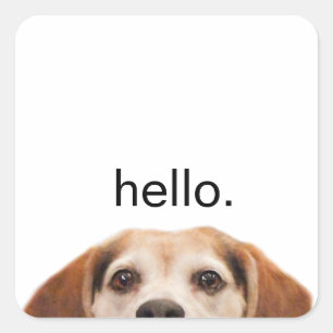 Sticker Carré Hello mignon Beagle chien moderne tendance