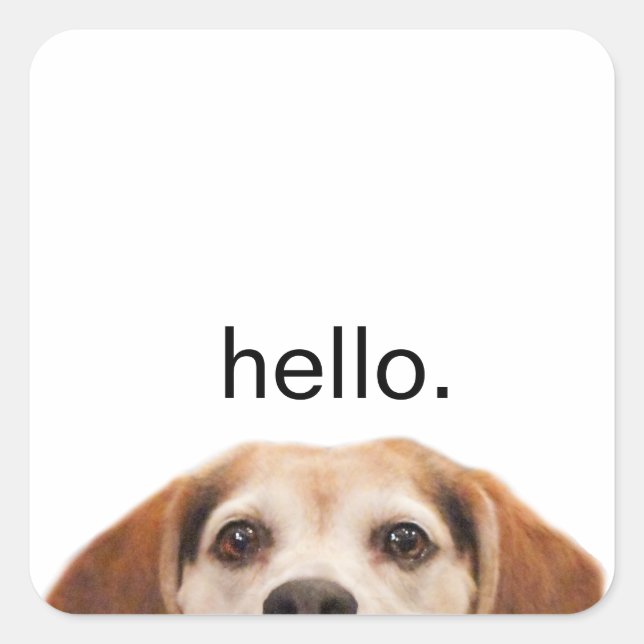Sticker Carré Hello mignon Beagle chien moderne tendance (Devant)