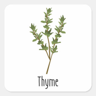 Sticker Carré Herbe d'épices de thym