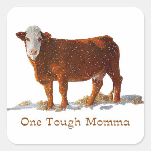 Sticker Carré Hereford Cow : One Tough Momma : Fête des Mères
