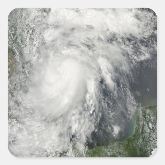 Sticker Carré Hermine de tempête tropicale dans le golfe du Mexi (Devant)