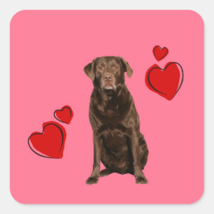 Sticker Carré Heureuse Sainte-Valentin du chocolat du Labrador